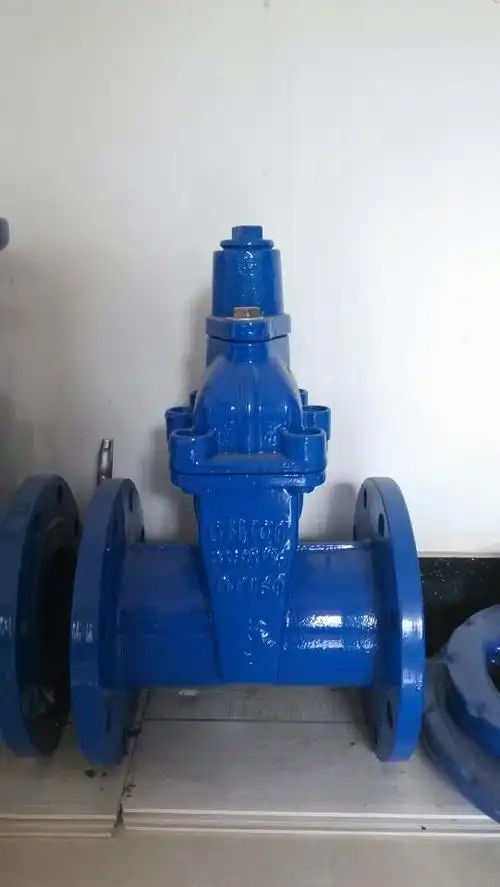 表前软密封闸阀