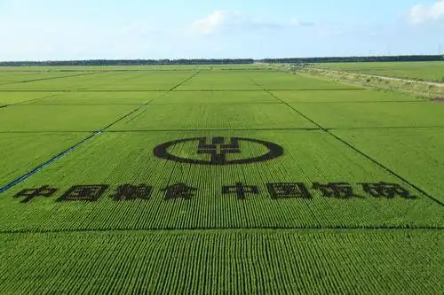 难忘同学情——千里之行北大荒