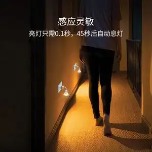 节能光控led红外人体感应小夜灯插电起夜灯楼梯走廊过道插座式.