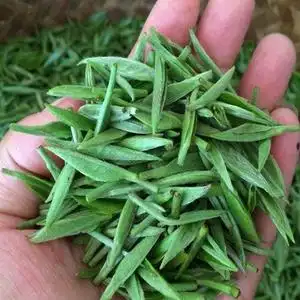 岳阳君山银针正品特级2023新茶明前尊品银针湖南茶叶258克礼盒装