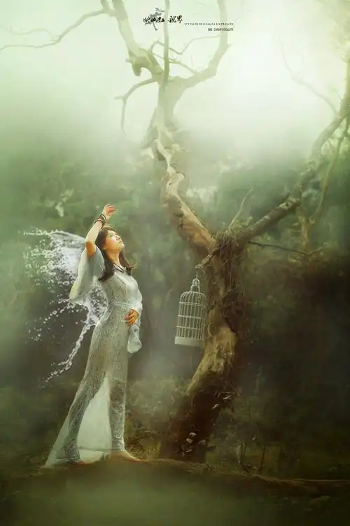 渴望自由的翅膀