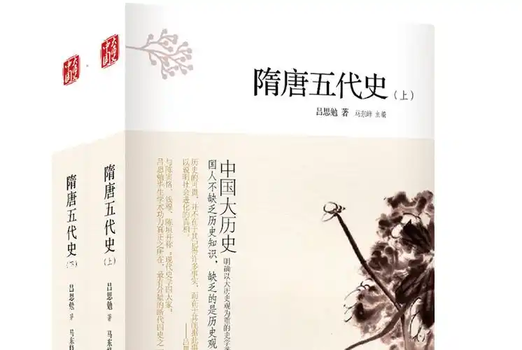 中国大历史:隋唐五代史(第2版)