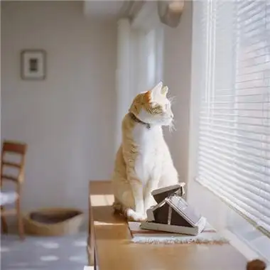 一个人安静的图片头像高清一个人安静美好头像图片大全