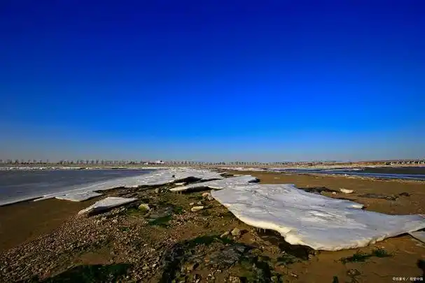 黄河入海口可以自驾进景区吗?