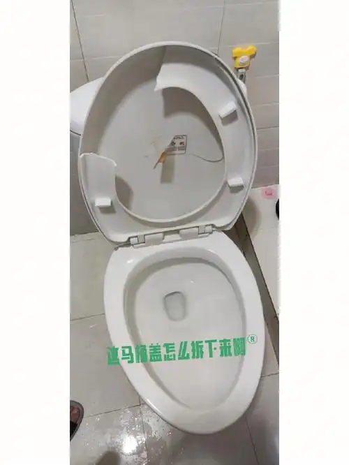 这马桶盖怎么拆下来啊
