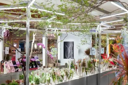 与花为伴在这些魔都花店邂逅另一个春天