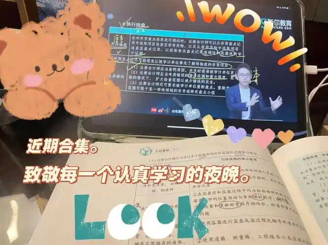 安利我的宝藏男孩审计篇金鑫松