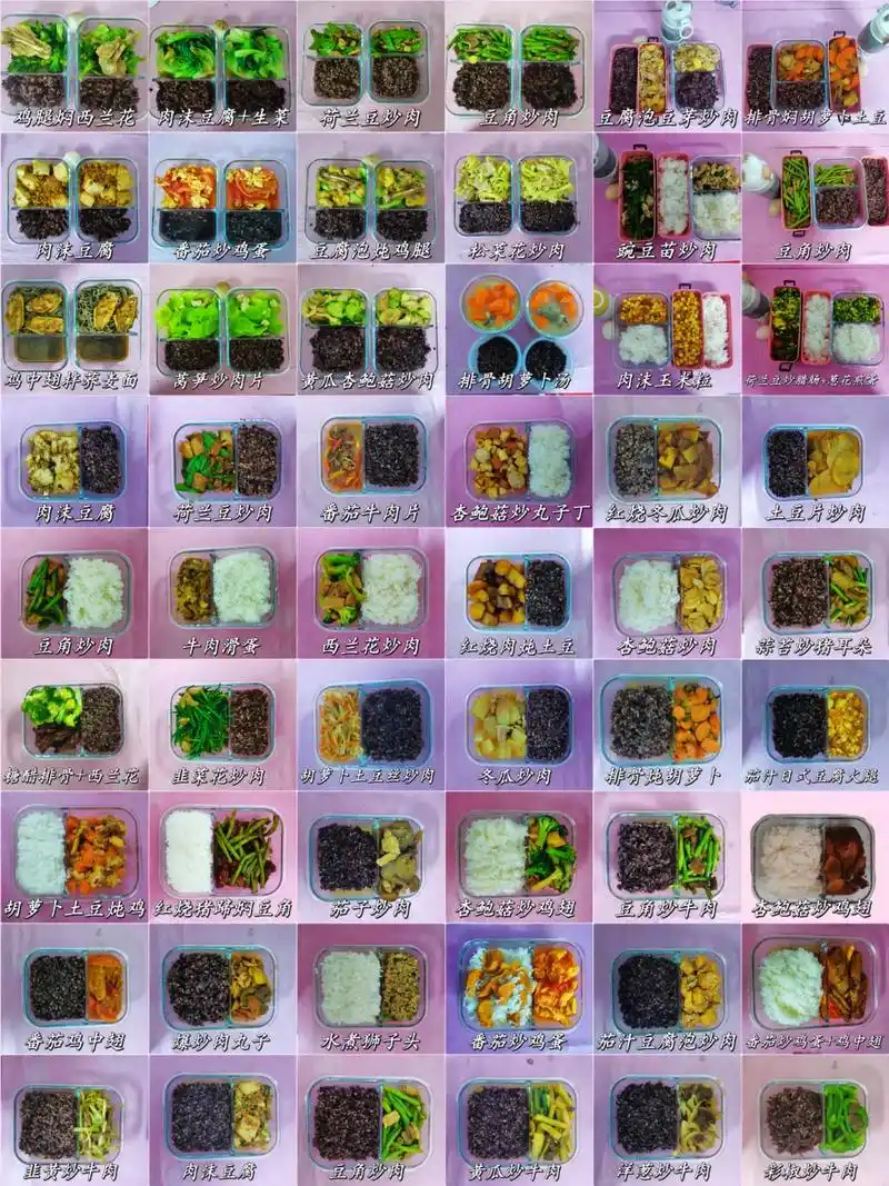 没多少道菜,就半年的带饭便当91.2023年的上班带饭生活, - 抖音