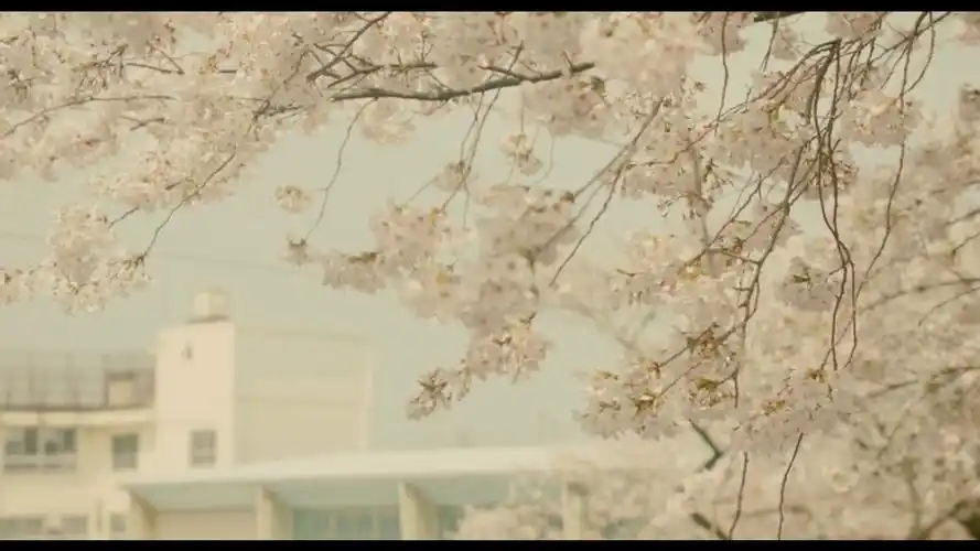 我们的存在# 电影截图 冲着toma去的 画面简直美哭了 色调超日系小