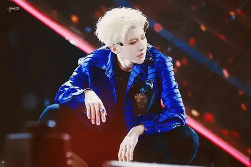 蔡徐坤/坤坤/kun&ikun