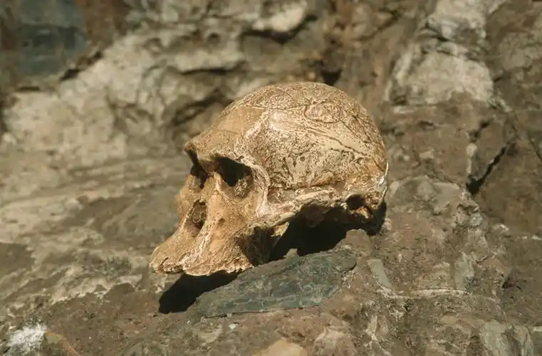 白天,石头,非洲,南非,阴影,朦胧,模糊,光线,骷髅,石子,影子,阳光,恐怖