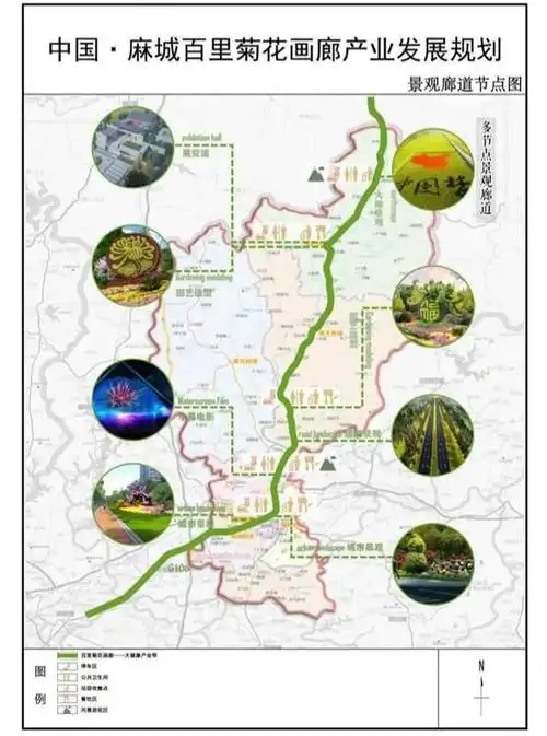 大动作!麻城5地将迎来大发展,建设106国道百里菊花景观带