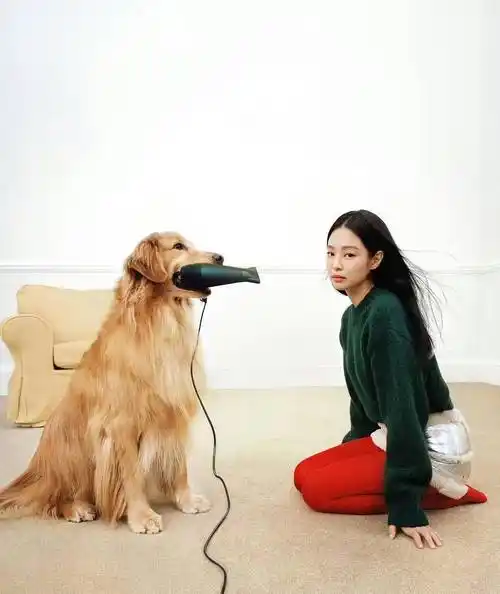 jennie一身红色短裙亮丽性感,她的宠物狗显得俏丽可爱_时尚_狗狗_社交