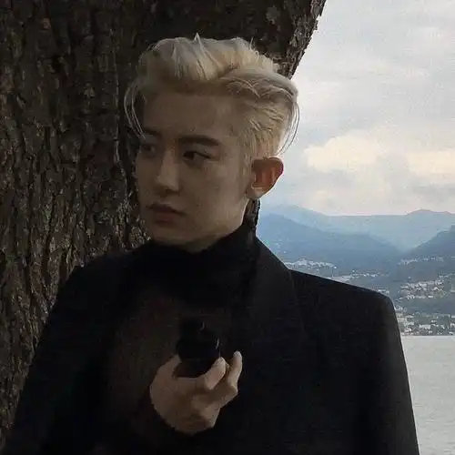 推朴灿烈优质头像第二十一天