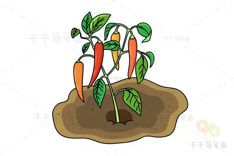 辣椒简笔画步骤图解