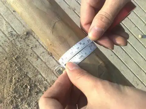 用测树钢围尺测量苗木胸径测量苗木分至点高度"省"字诀-"以林绿路,以