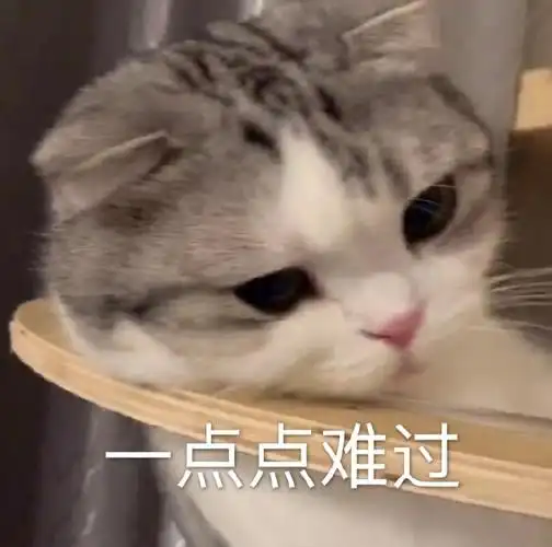 萌宠gif喵星人gif一点点难过gif难受gif呆萌gif可爱gif