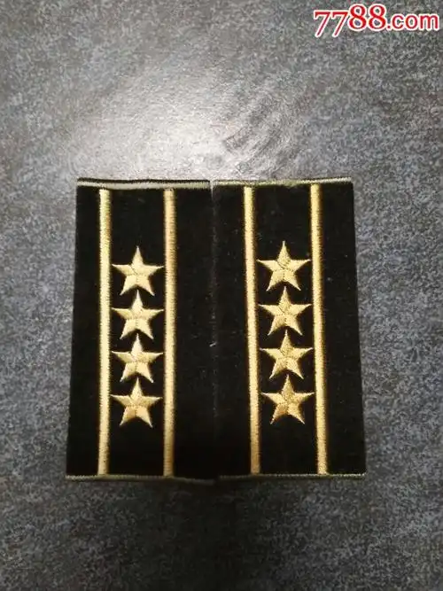 87陆空大校绒套肩