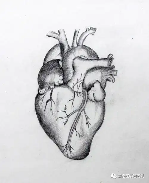 这是一场你们与人体解剖学的甜蜜