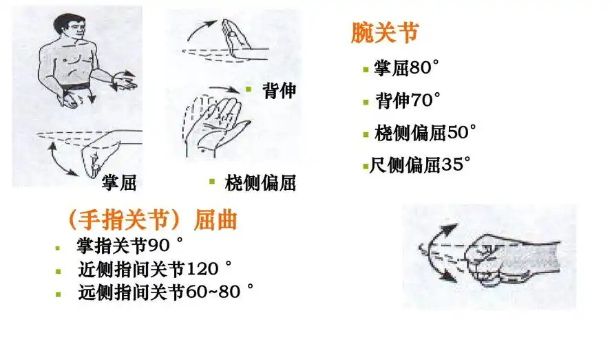 休息与活动(2012级)ppt