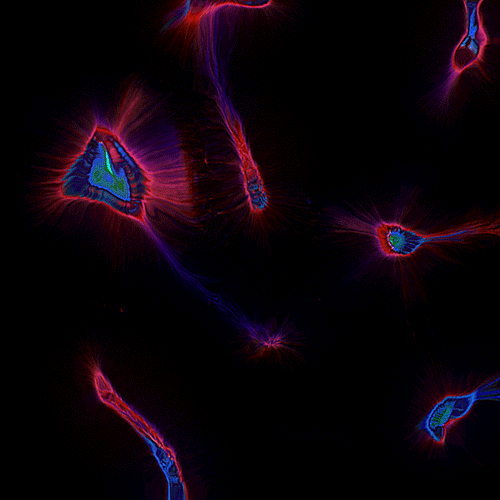 艺术黑色红色创意gif动图_动态图_表情包下载_soogif