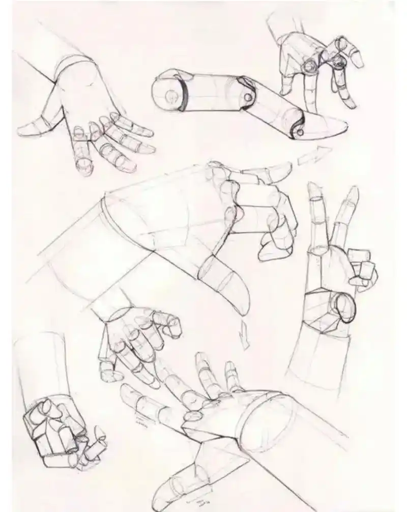 速写素描手部结构临摹分解素材26615 一起临摹吧