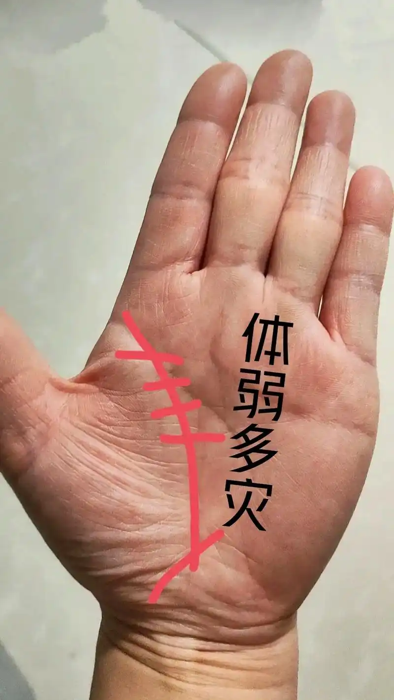 苦命的纹路.这位缘主的感情线,早期波折较多,25岁之后才逐渐 - 抖音