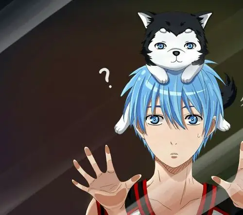 求黑子的篮球中黑子哲也的图片