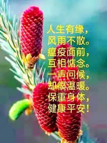 2021中老年问候表情图片非常时期保重身体