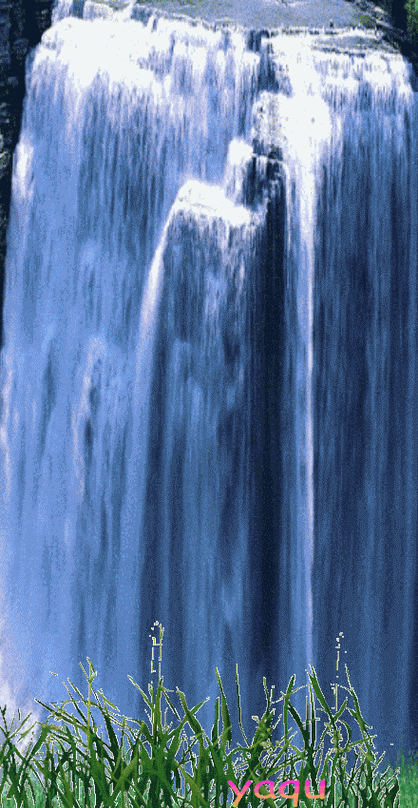 440_850竖版 竖屏gif 动态图 动图