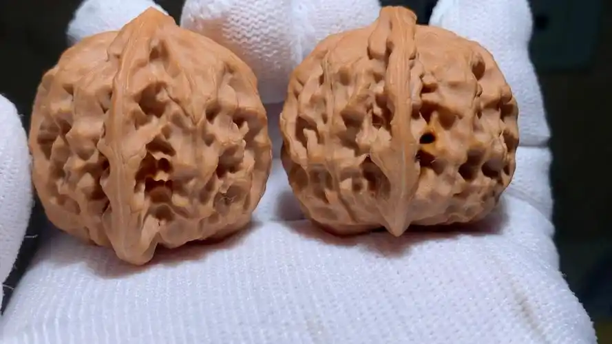 文玩核桃#龙鳞狮子头,顶级橘黄皮质