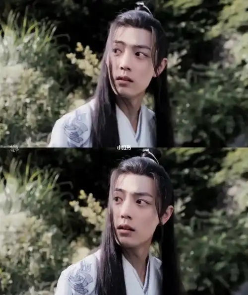 肖战魏无羡绝美回眸