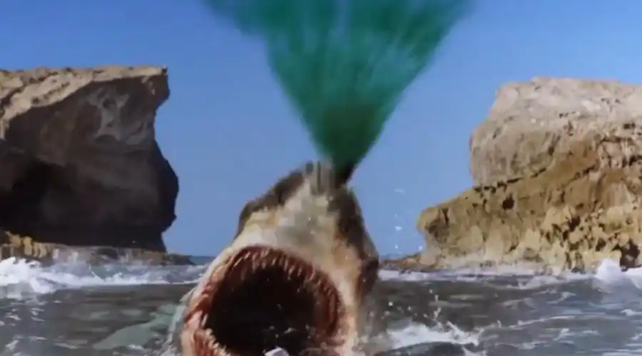 3分钟看完鲨鱼感染丧尸病毒的电影《毒鲨》