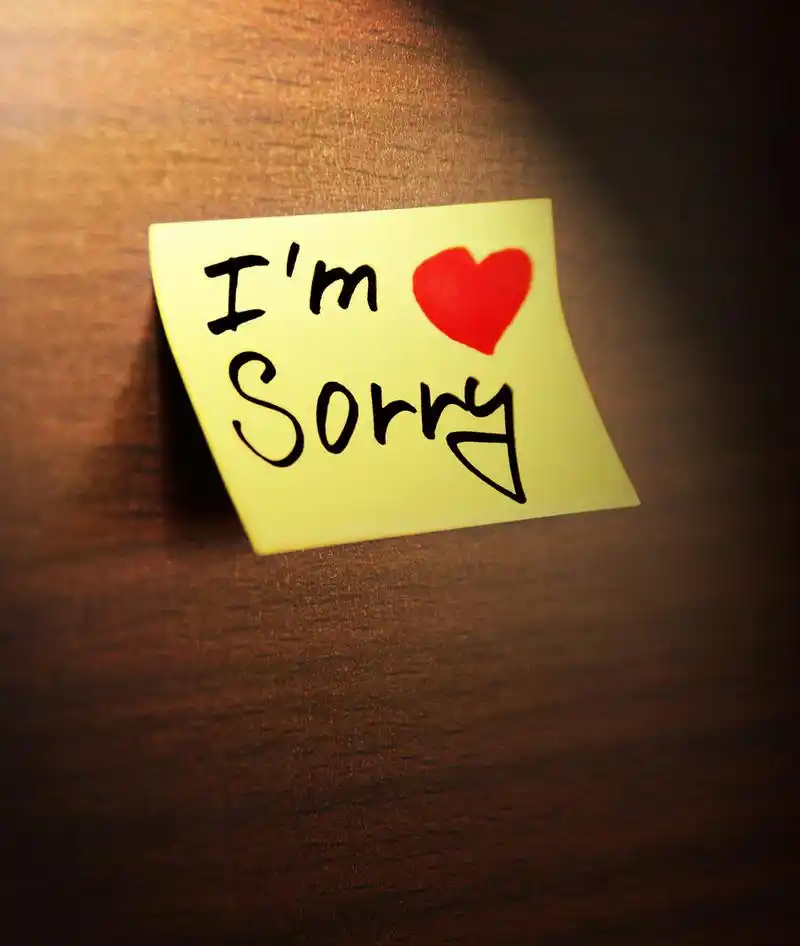 对不起,手写,对不起,手写