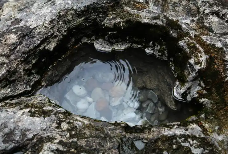 葡萄指引寻宝之旅