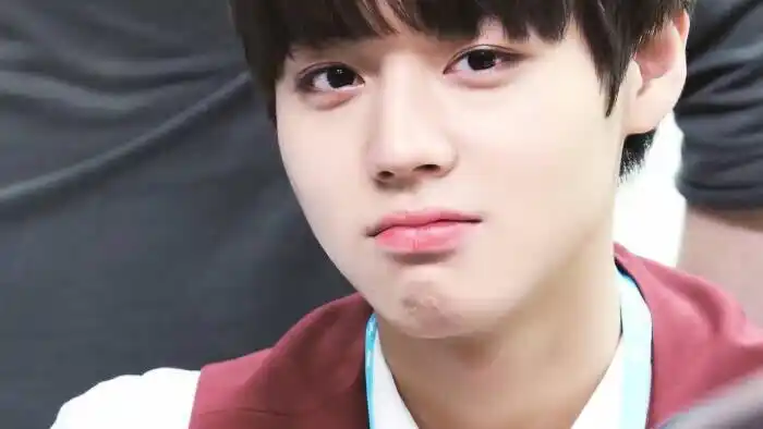 朴志训橙光素材禁二传二改,抱图收藏