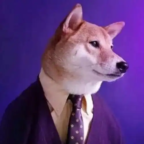 西装领带狗头男头像