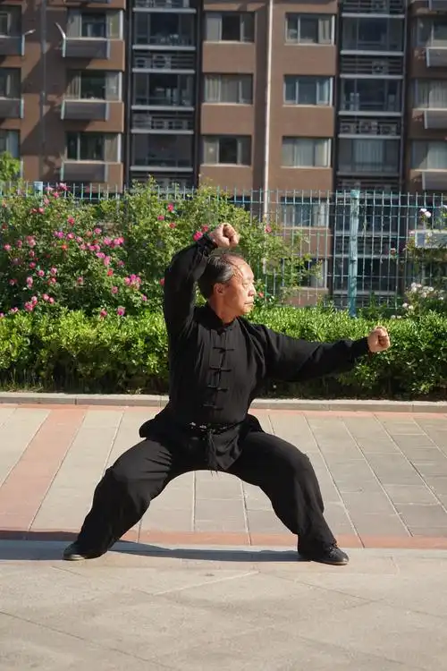 68年-学练少林功夫八极拳68岁-重温半世纪长拳之恋