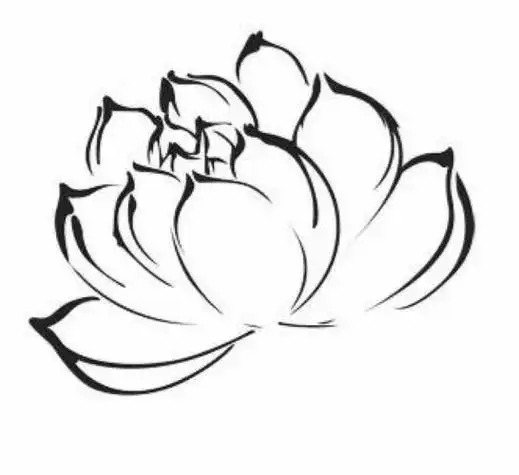 橡皮章素材 莲花荷花荷花和它的叶子荷花线描 荷花白描 荷花素描设计