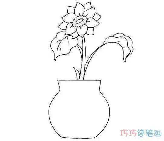 画教程装在花瓶里的向日葵美丽的向日葵简笔画大全向日葵马蹄莲插花简