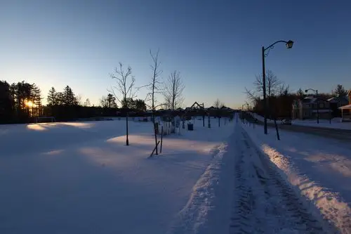 加拿大多伦多的雪