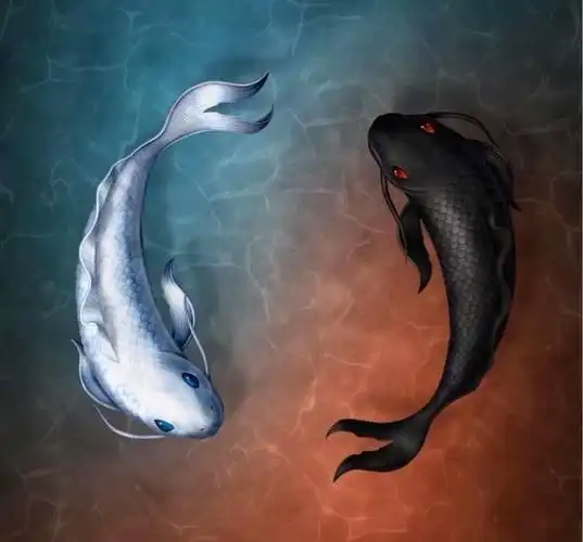 【精工铜阴阳鱼凸镱凹镜铜八卦镜 铜太极图八原来,太极图不是道家的