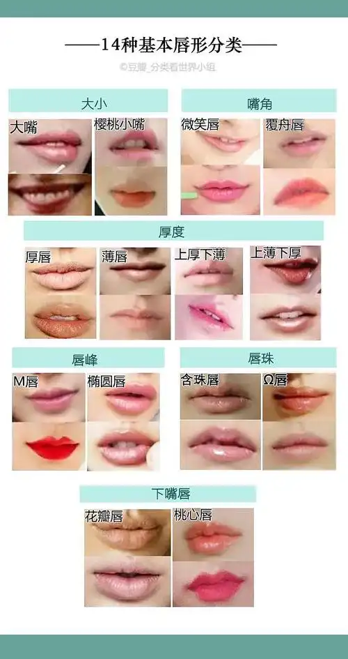 唇形分类14种基本唇形分类含唇妆参考