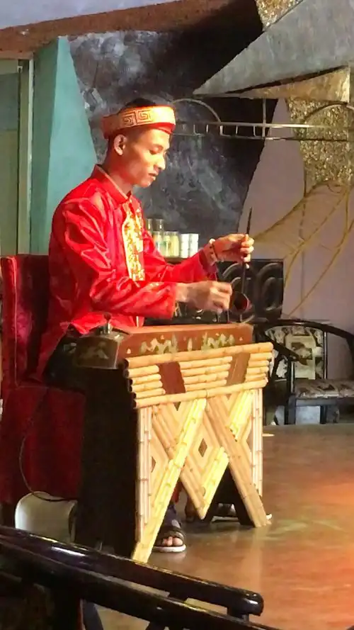 越南小调,单弦乐器