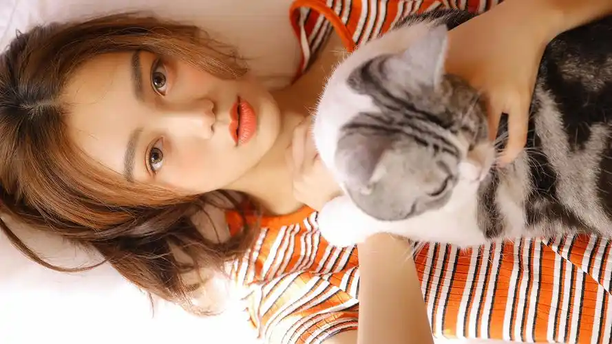 下载电脑版下载手机版手机壁纸排行榜动漫壁纸4k壁纸静态壁纸动态壁纸