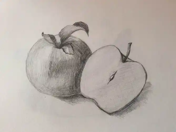 素描画简单 素描画简单 初学者