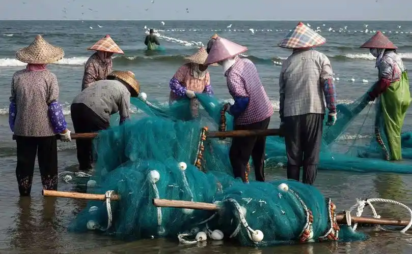 感受不一样的周末之美吼起拉网号子饶平大埕湾拉网捕鱼咯