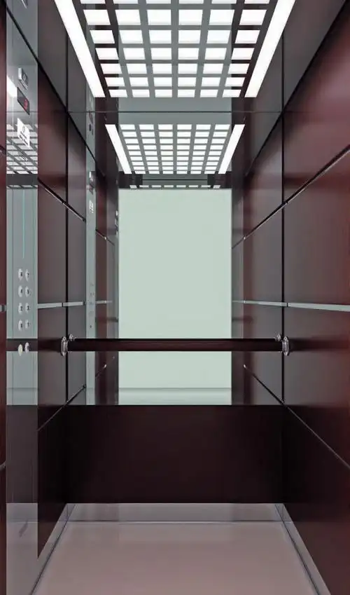 奉贤小型400kg别墅电梯家用 螺杆式电梯 室外家用观光别墅电梯价格