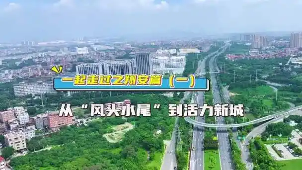 一起走过之翔安篇(一):从"风头水尾"到活力新城|厦门市_新浪新闻
