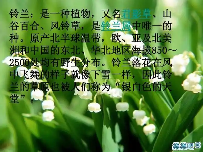 人教版小学语文二年级下册《我不是最弱小的》专用课件ppt